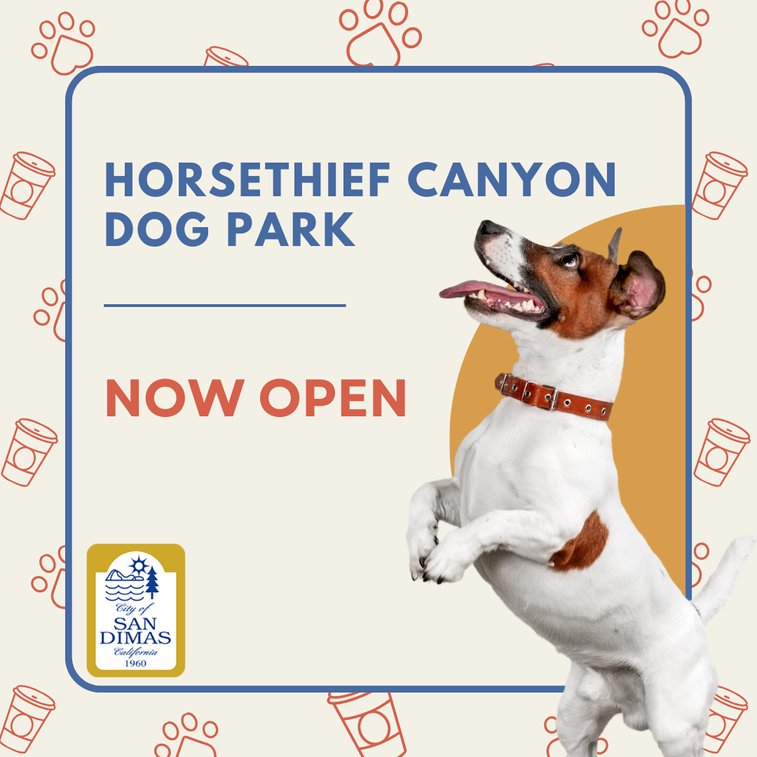 Dog Park (1)