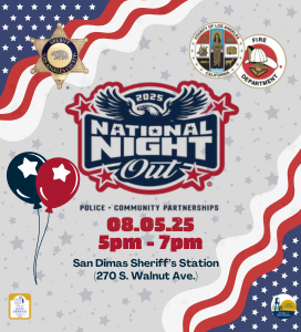 National Night Out Flyer Icon